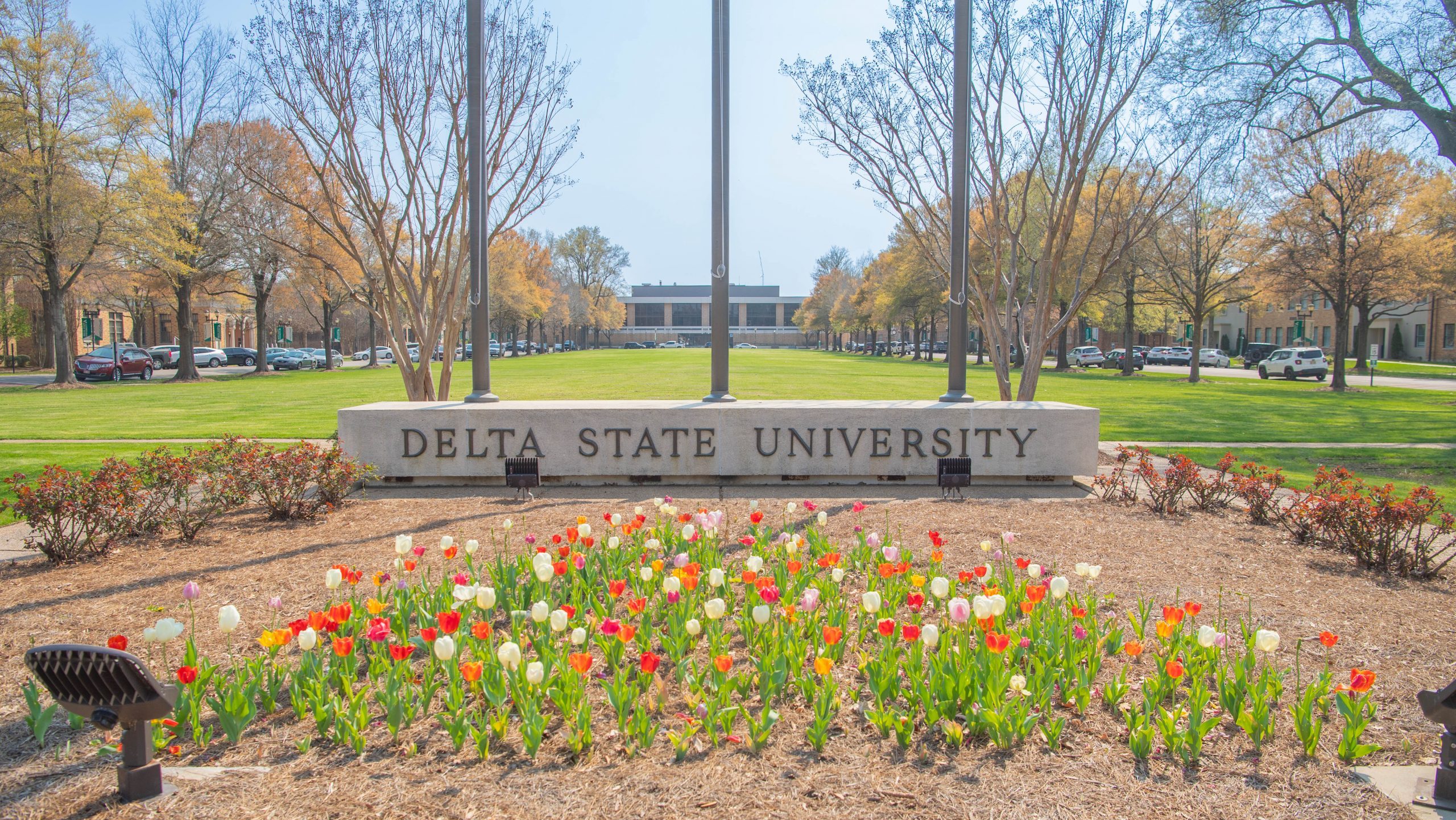Delta State University entrance sign, with blooming tulips and a tree-lined campus Quadrangle and cars parked in the background.